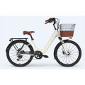 Customized 24 Inch Electric Bike